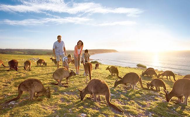 Australia Food Guide 2026 | Tips, Costs & Itinerary