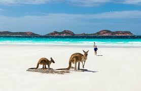 Australia Packing Guide 2026 | Tips, Costs & Itinerary
