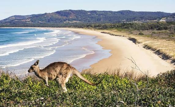 Great Ocean Road Guide 2026 | Tips, Costs & Itinerary