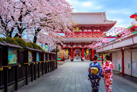 Kyoto temples and cherry blossoms, Japan