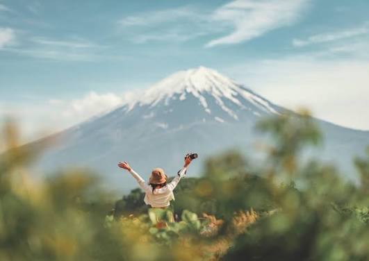 Japan Shopping Guide 2026 | Tips, Costs & Itinerary