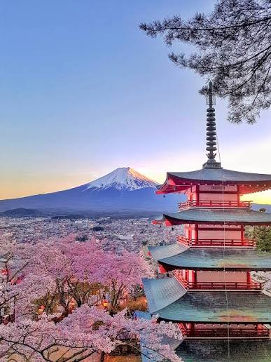 Japan Travel Guide 2026 | Tips, Costs & Itinerary