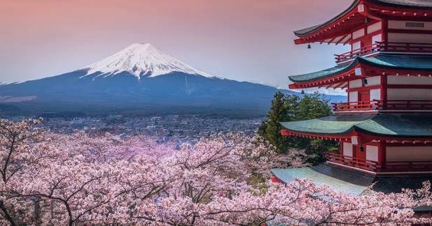 Japan Trip Cost 2026 | Tips, Costs & Itinerary