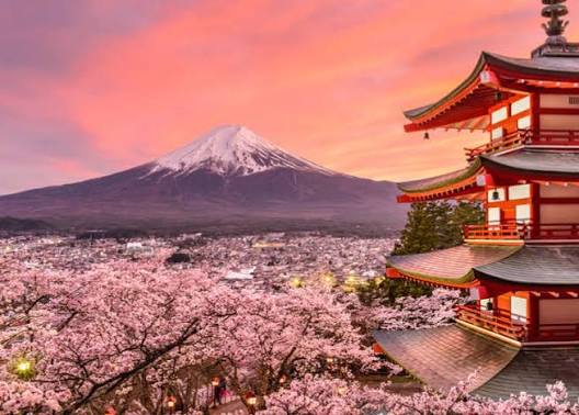 Kyoto Temples