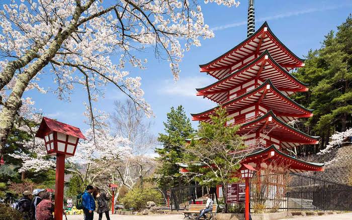 Tokyo, Kyoto, Mt. Fuji — Japan for First Timers