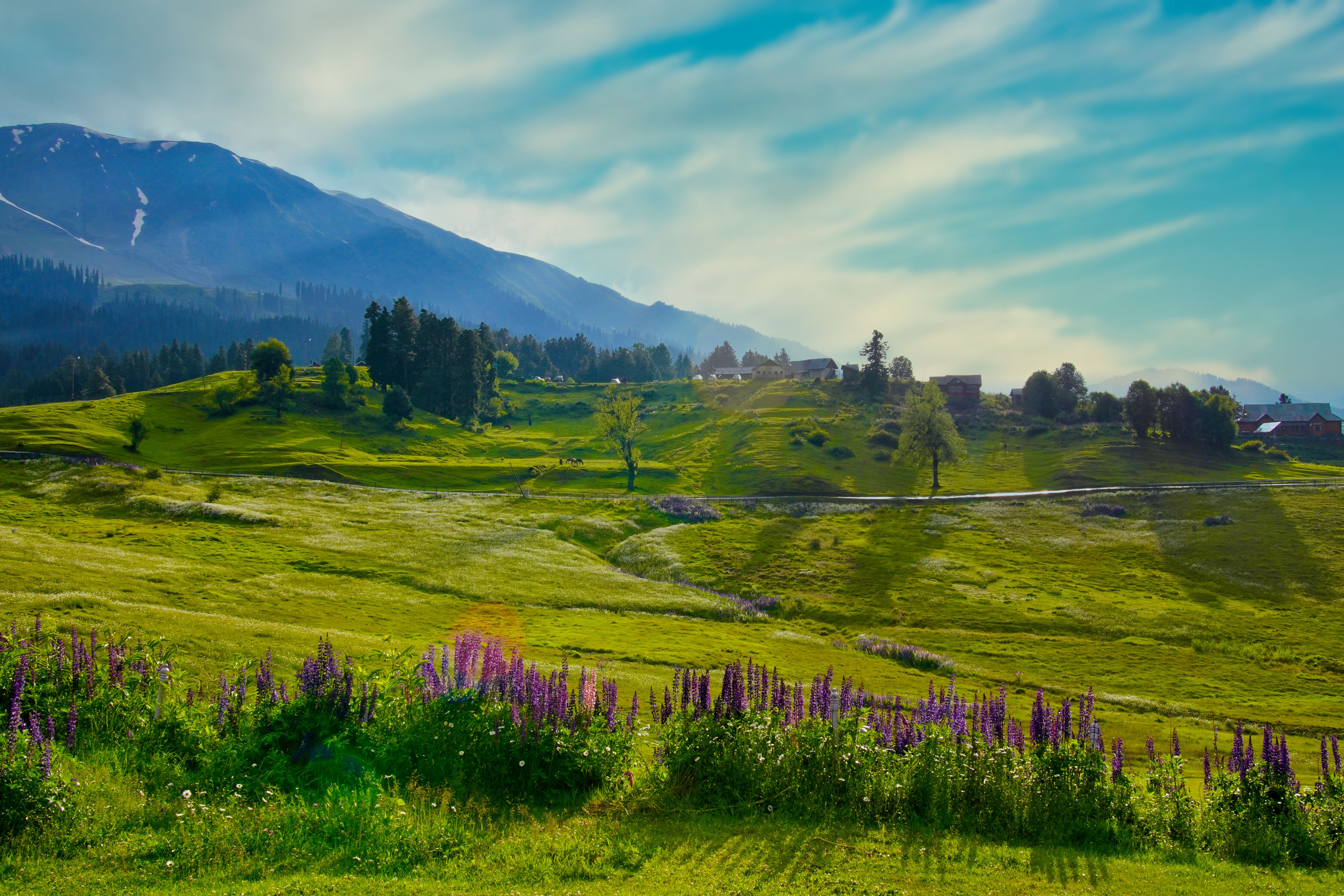 Kashmir Delight | Srinagar Escape