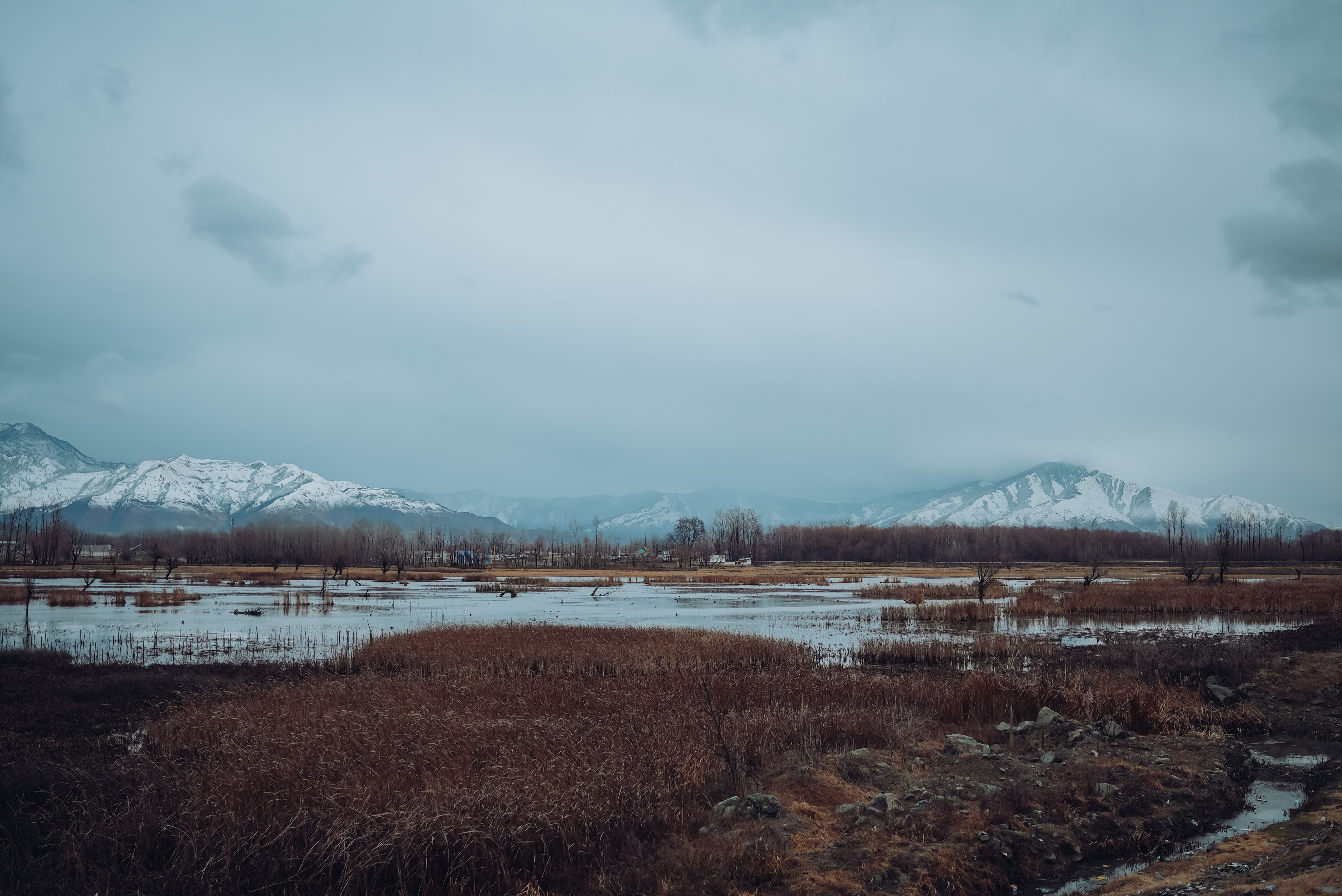 Classic Kashmir