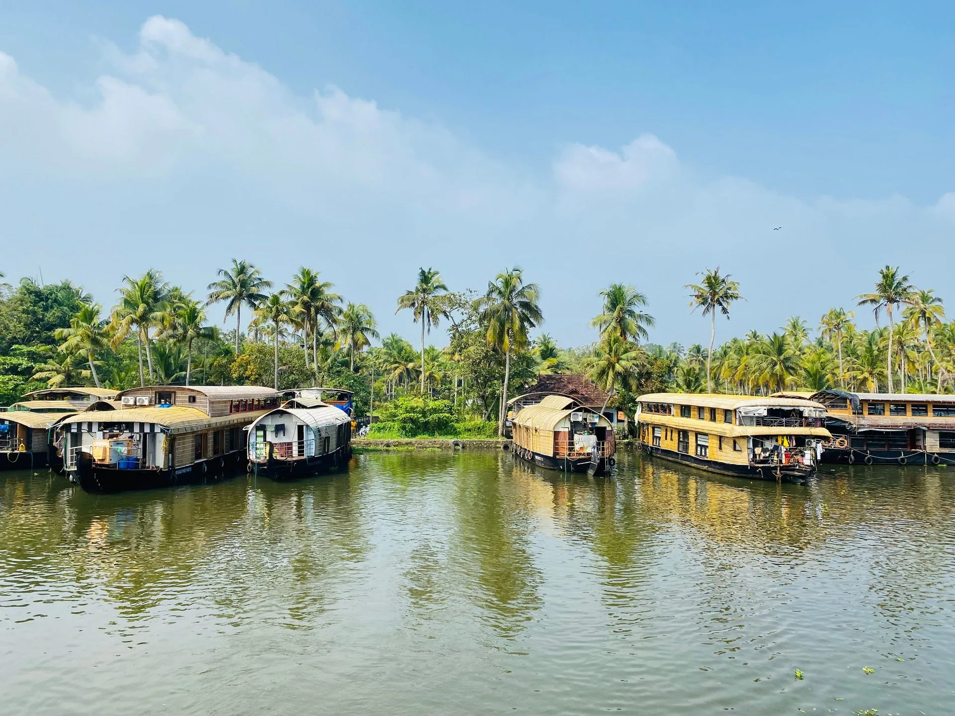 Complete Kerala Experience | Munnar, Thekkady, Alleppey & Kovalam
