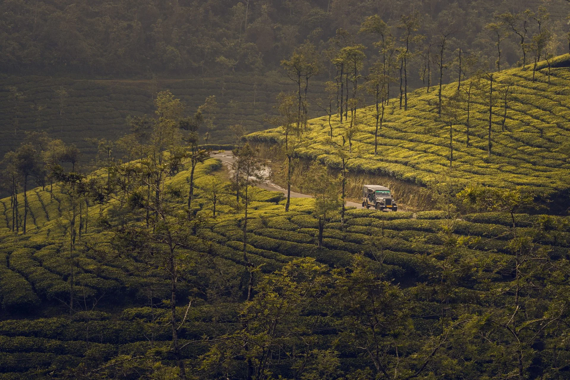 Complete Kerala Experience | Munnar, Thekkady, Alleppey & Kovalam