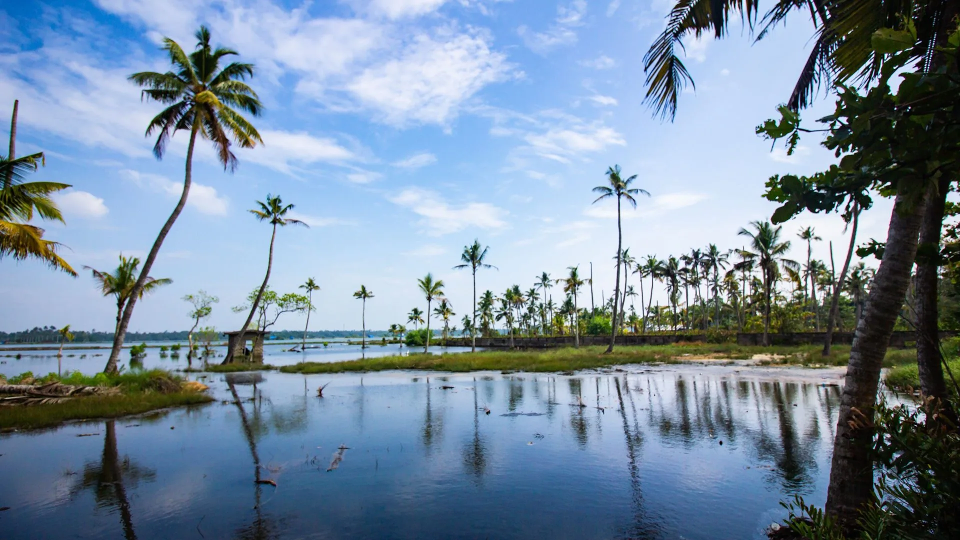 Complete Kerala Experience | Munnar, Thekkady, Alleppey & Kovalam